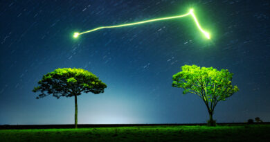 Exposição “Alquimia Noturna” de Renan Cepeda estreia no CAEB com fotografias que combinam luz, sombra e natureza em SJC.