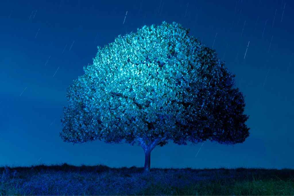 Exposição Alquimia Noturna - Renan Cepeda