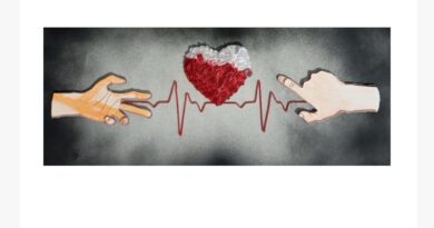 Exposição “A Vida em Papel” destaca o trabalho artesanal de Luis Veri em São José dos Campos