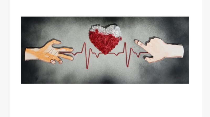 Exposição “A Vida em Papel” destaca o trabalho artesanal de Luis Veri em São José dos Campos