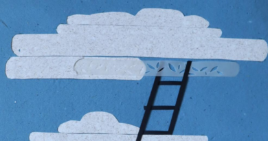 “Papel Social” ocupa o Parque Vicentina Aranha com exposição